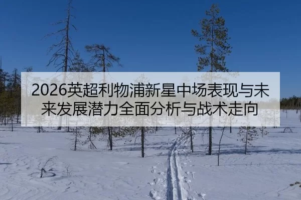2026英超利物浦新星中场表现与未来发展潜力全面分析与战术走向