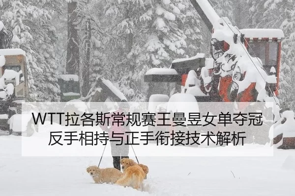 WTT拉各斯常规赛王曼昱女单夺冠 反手相持与正手衔接技术解析